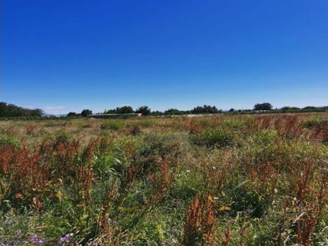 Local Comercial en venta en Erriberagoiena / Ribera Alta, Navarra