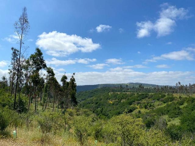 Terreno en venta en Santo Domingo, Provincia de San Antonio