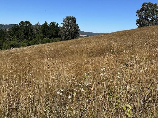 Terreno en venta en Teodoro Schmidt, La Araucanía