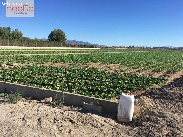 Local Comercial en venta en Urbanización Torre del Obispo, Alto Guadalentín