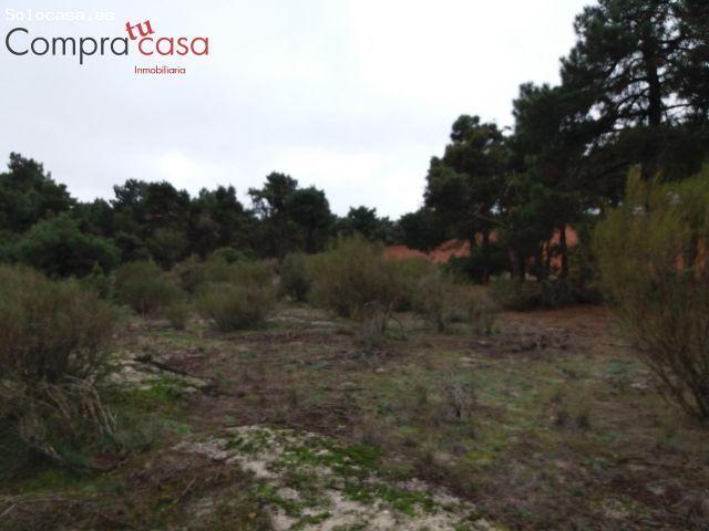 Local Comercial en venta en Navas De Oro, Castilla y León
