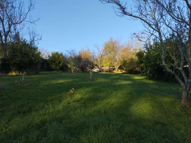 Casa Rural en venta en O Eume, Galicia