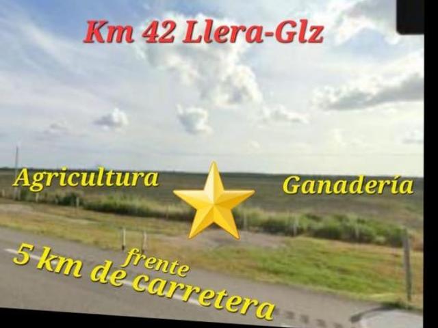 Venta Rancho agrícola en González, Tam