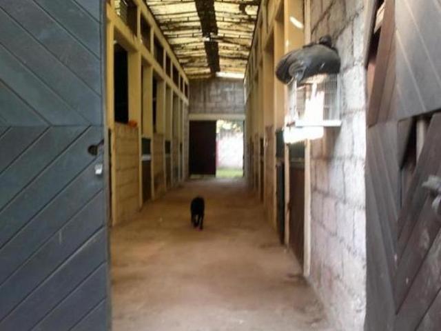 Venta Rancho como terreno en Acopilco