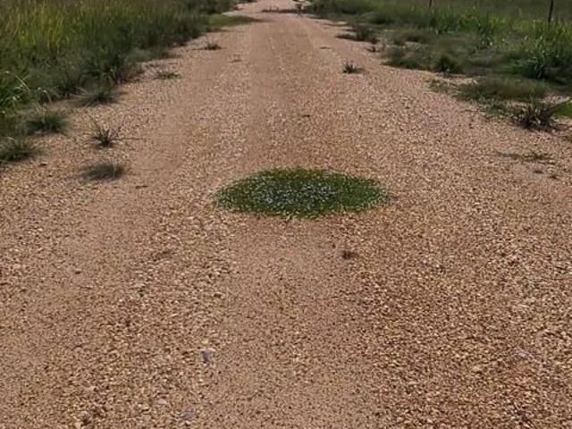 Rancho en venta en Palizada, Campeche
