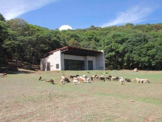 Venta Rancho en Estado de Mexico