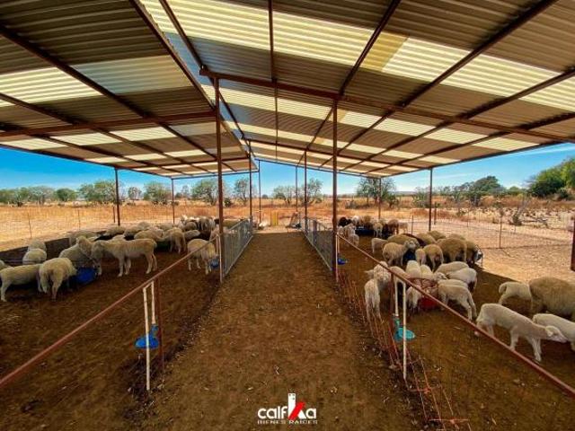 Rancho en venta en Ojuelos De Jalisco, Jalisco