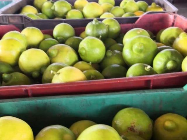 VENTA RANCHO EN ZACATECAS 430 HA