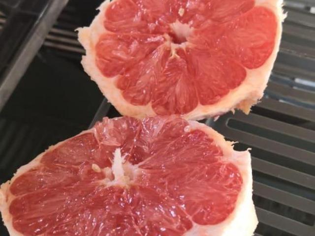 VENTA RANCHO EN ZACATECAS 430 HA