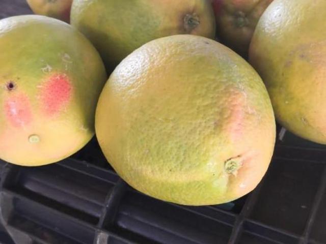 VENTA RANCHO EN ZACATECAS 430 HA