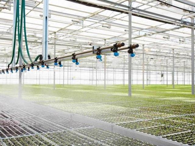 Venta Rancho para Cultivo en Invernadero, Morelos