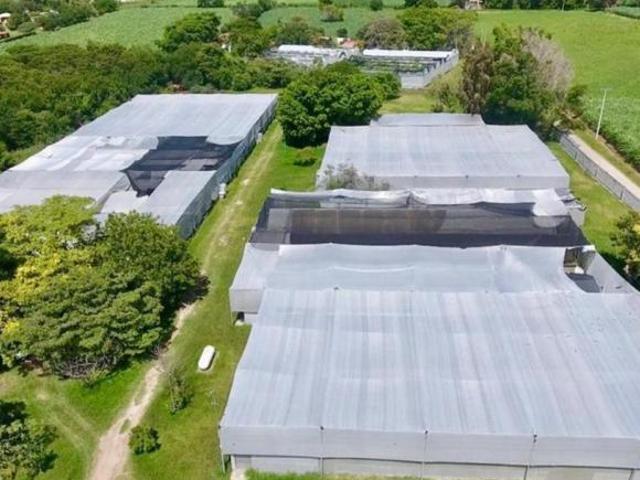Venta Rancho para Cultivo en Invernadero, Morelos