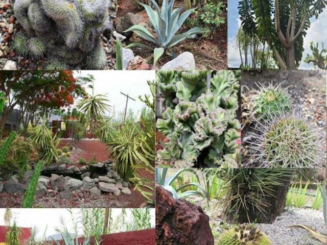 Venta Rancho para Cultivo en Invernadero, Morelos