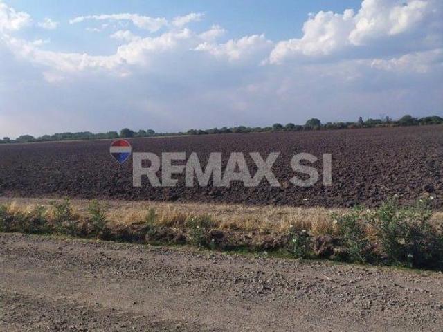 Rancho en venta en Purísima Del Rincón, Guanajuato
