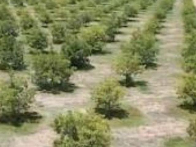 Rancho en venta en Colón, Querétaro
