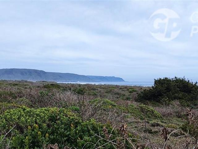 Venta Sitio $ 125.000.000