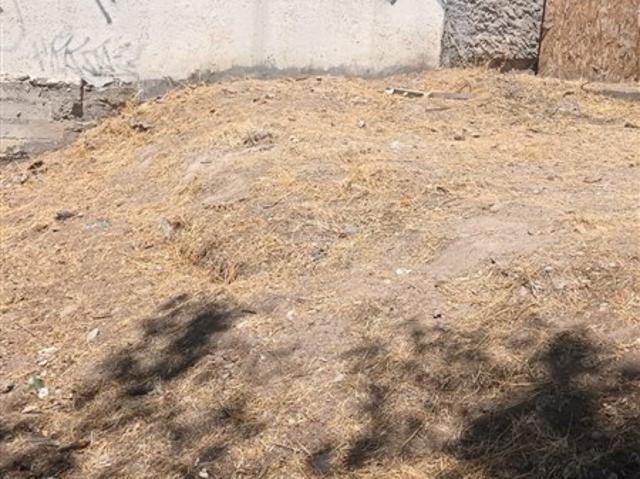 Venta Sitio $ 120.000.000