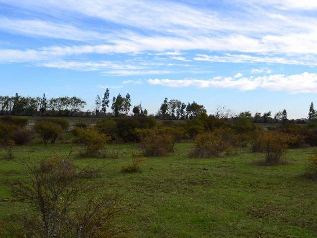 Terreno en venta en Parral, Maule