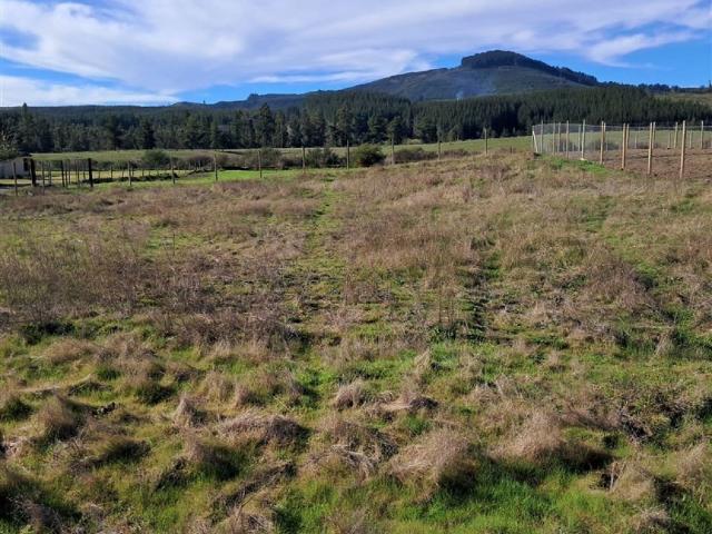 Terreno en venta en Quirihue, Provincia de Itata