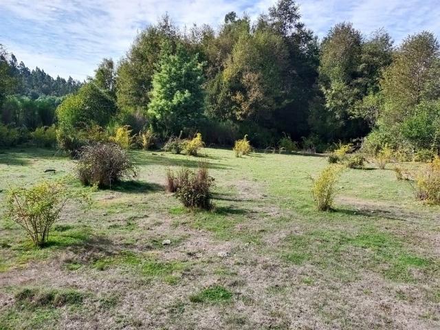 Terreno en venta en Quirihue, Provincia de Itata