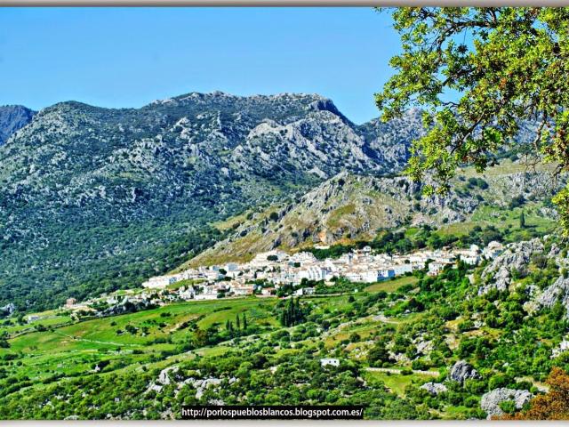 Terreno en venta en Sierra de Cádiz, Andalucía