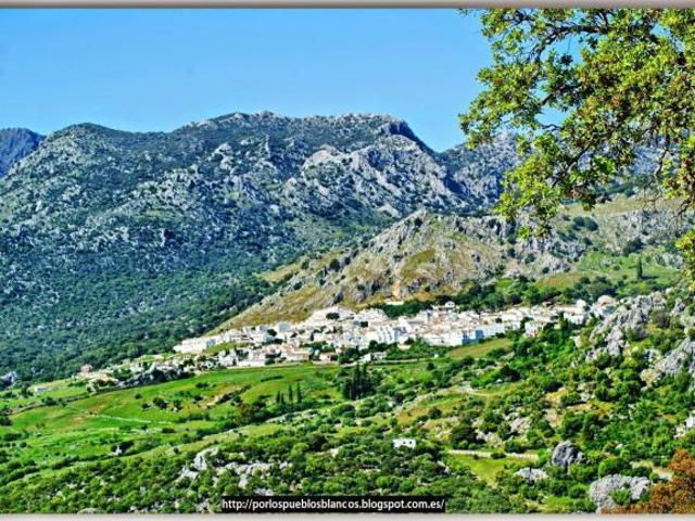 Local Comercial en venta en Sierra de Cádiz, Andalucía