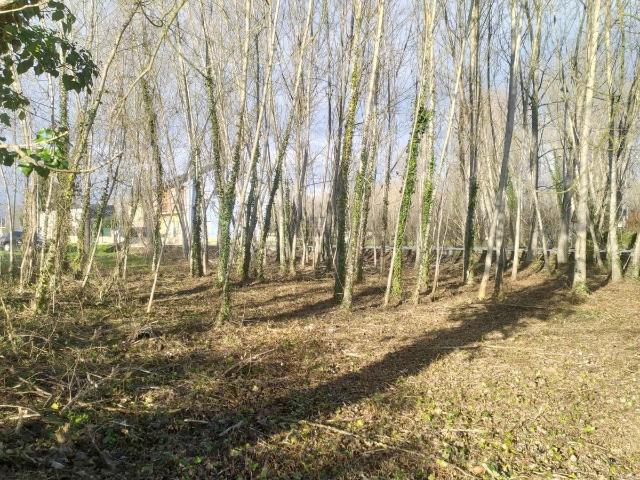 Terreno en venta en Dehesas, Ponferrada