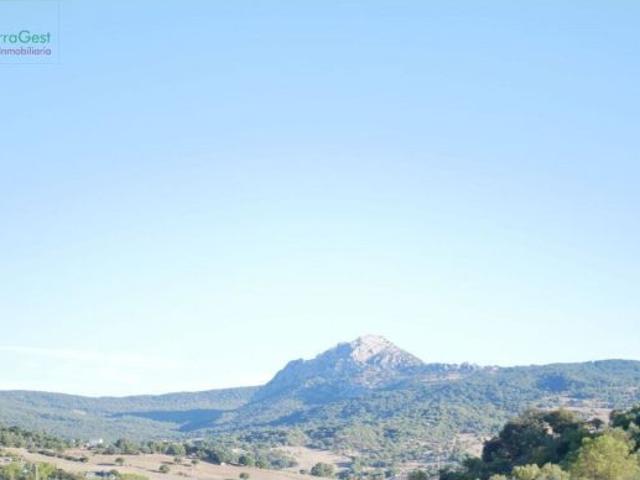 Local Comercial en venta en Residencial Cerro Mulera, Sierra de Cádiz