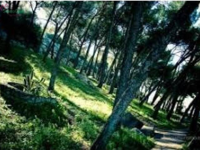 Local Comercial en venta en Sierra de Cádiz, Andalucía