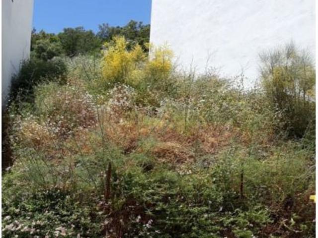 Local Comercial en venta en Sierra de Cádiz, Andalucía