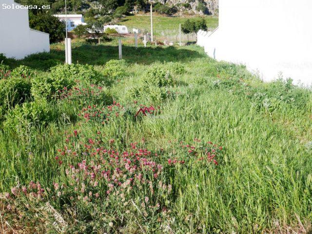 Local Comercial en venta en Residencial Cerro Mulera, Sierra de Cádiz