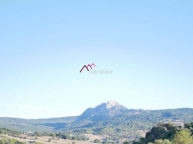 Local Comercial en venta en Sierra de Cádiz, Andalucía