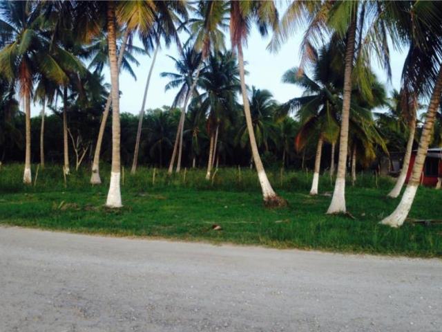 Terreno en venta en Carlos Rovirosa Primera Sección, Centla