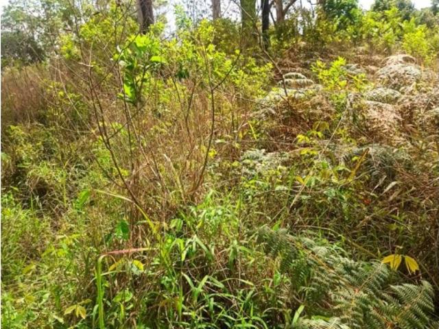 Terreno en venta en Miranda
