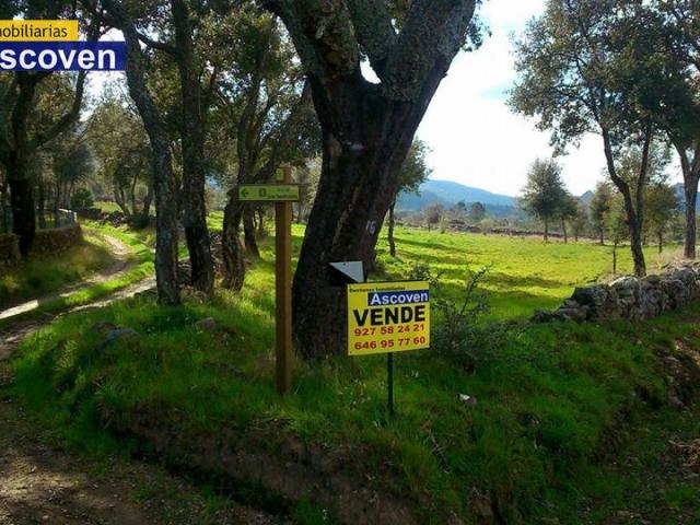 Terreno en venta en Valencia De Alcántara Terreno en venta en Valencia De Alcántara