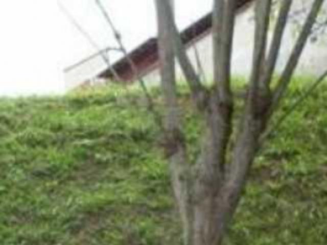 Terreno en venta en Boca De Uchire, Miranda