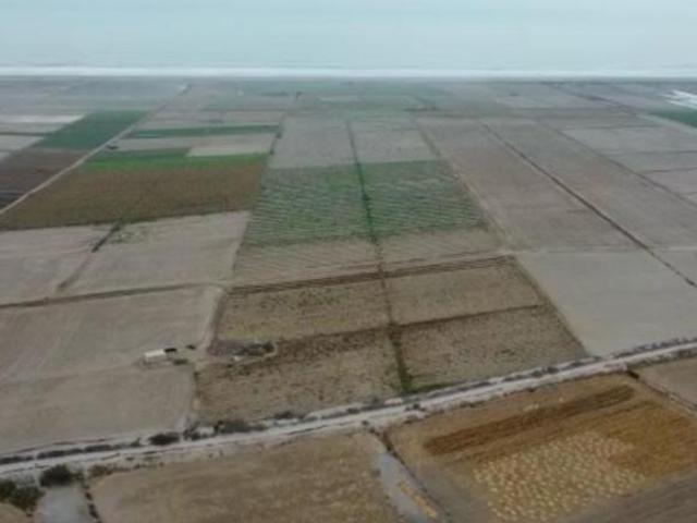 Terreno venta en Camana