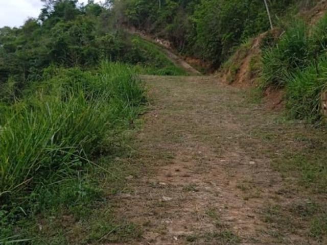 Terreno en venta en Boca De Uchire, Miranda