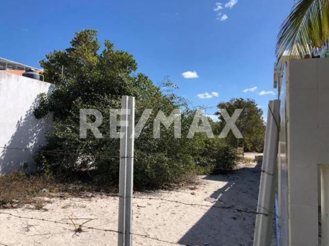 Terreno en venta en Celestún, Yucatán