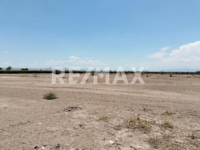 Terreno en renta en Matamoros, Coahuila