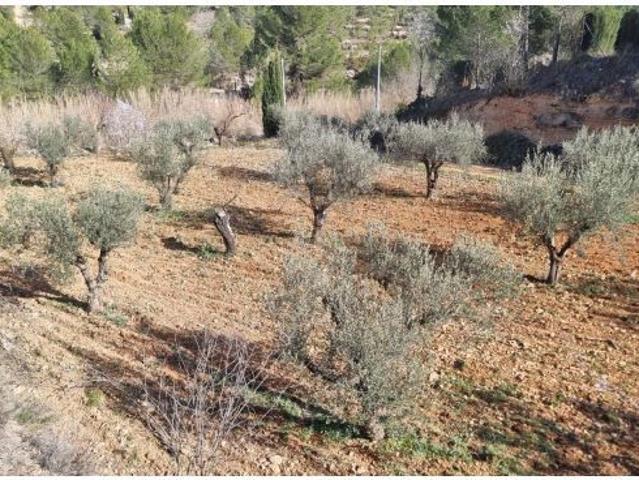 Local Comercial en venta en Noroeste, Murcia