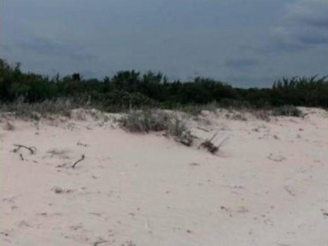 VENTA TERRENO EN CELESTUN, YUCATAN DE 2682 M2