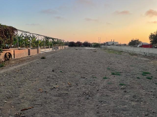 Terreno alquiler en Canete, Lima Metropolitana