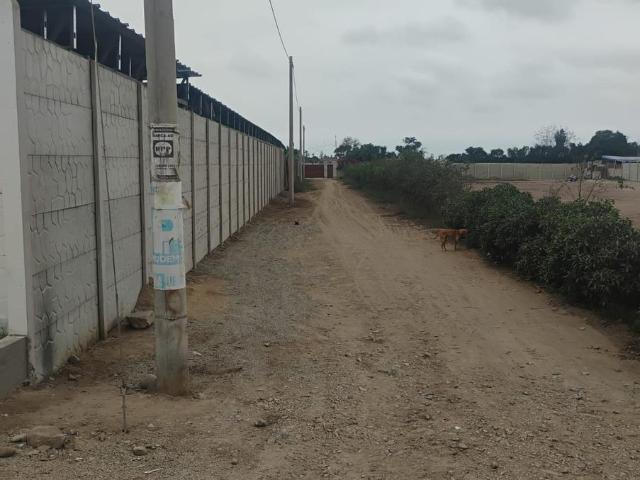 Terreno venta en Manchay, Lima Metropolitana