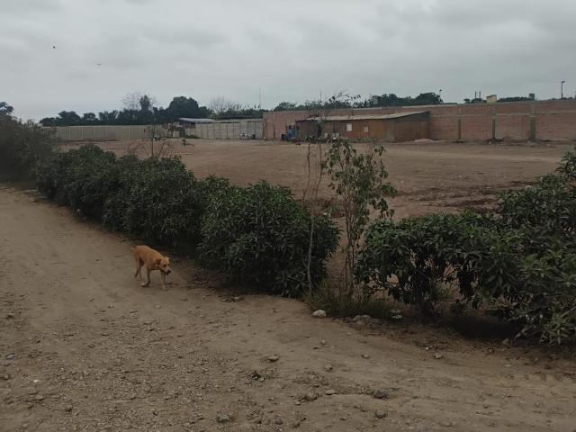 Terreno venta en Manchay, Lima Metropolitana