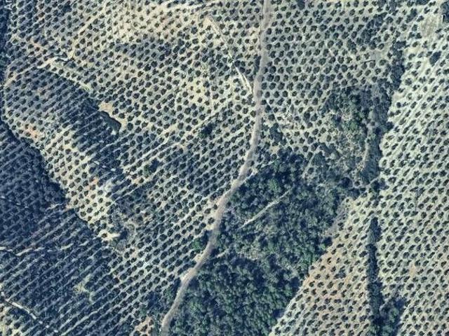 Terreno en venta en Villacarrillo, Andalucía