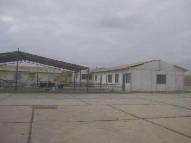 Local Comercial venta en Paracas, Ica