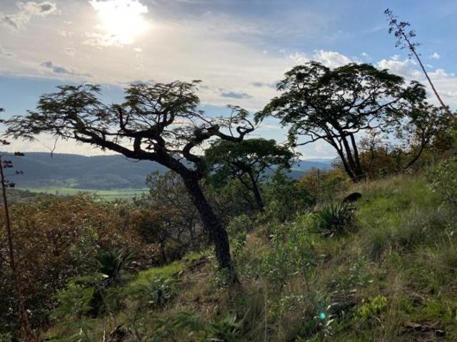 Terreno en venta en Chiquilistlán, Jalisco