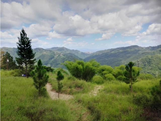 Terreno en venta en Boca De Uchire, Miranda