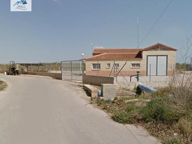 Terreno en venta en la Ribera Alta, Valencia